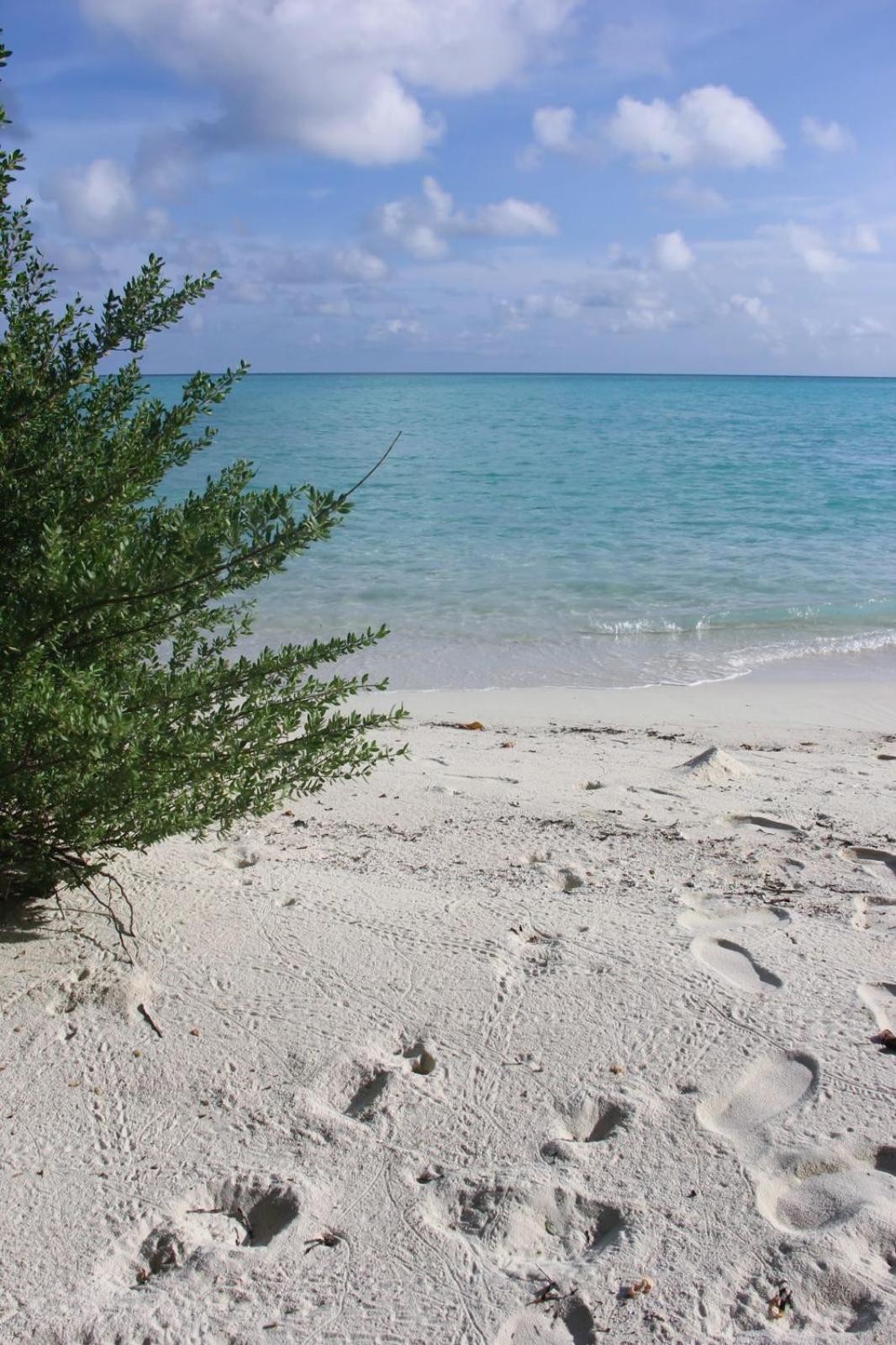 Отель Isla Retreat Fehendhoo Экстерьер фото